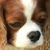 Judith Varley - Facebook