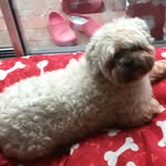 Judith wainwright - @wainwright5325 - Instagram