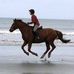 Judith Wainwright - Facebook