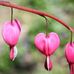 Judith Walling - Facebook