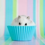 Judith Webb - @judith_webb_262337 - Instagram