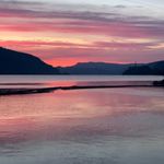 Judith Webb - @judithwebb - Instagram