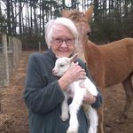 Judith Webb - @judith.webb.5681 - Instagram