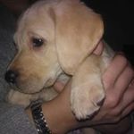 Judith Webb - @webbmajud - Instagram