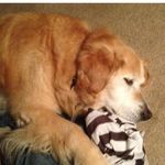 Judith Webb - @judithwebb7625 - Instagram