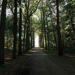 Judith Weissman - @judithweissman - Instagram