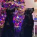 Judith Welsh - Facebook