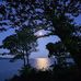 Judith Welsh - Facebook