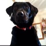 Judith Welsh Walker - @judithewelsh - Instagram