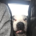Judith Wenzel - @juwel66 - Instagram