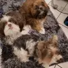 Judith Wirtz706 - @judithwirtz0 - TikTok