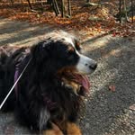 Judith Wilbur Bourgeois - @judy_bourgeois - Instagram