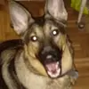 judithwilburn538 - @judithwilburn538 - TikTok