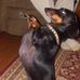 Judi Windle - Facebook