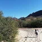 judith winn dammel - @judithwinndammel - Instagram