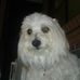 Judith Wirth - Facebook
