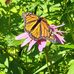 Judith Wolfe - Facebook