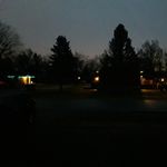Judith Wolfe - @judiththecat3003 - Instagram