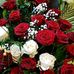 Judith Wolfe - Facebook