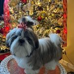 Judith Wolfenbarger Harper - @judithwolfenbarger - Instagram