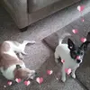 Judith Wray - @judith.wray - TikTok