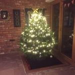 Judith Wright - @judithwright7198 - Instagram