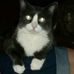 Judi Yoder - Facebook