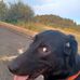 Judson Turner - Facebook