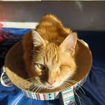 Judson Turner - @judson.turner242 - Instagram