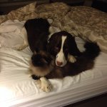Judy Abbey - @jj5101980 - Instagram