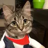 Kate - @judyabbey - TikTok
