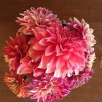 Judy Ables - @ablesjudy - Instagram