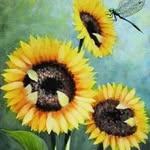 judy acker - @judyacker - Instagram