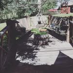 Judy Acker - @judy0323 - Instagram
