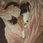 Judith Adkisson Martin - @pollyndelanie - Instagram