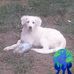 Judy Adkisson - Facebook