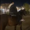 Judy Ali - @liam.2150 - TikTok