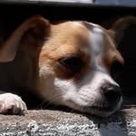 Judy Allman McNeal - @judyallmanmcneal - Instagram