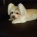 Judy Ard - Facebook