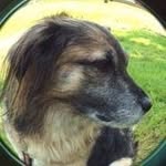 Judy Castle - @judycastleshaw.ca - Instagram