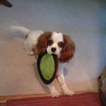 Judy Bader Gildea - @jsvcorissa - Instagram