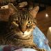 Judy Baker - Facebook