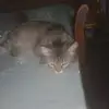 judybader8822 - @judybader8822 - TikTok
