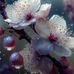 Judy Barfield - Facebook