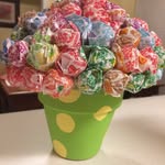 Judy Barfield - @judybarfield1 - Instagram