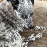 Judy Bartels - @jbartels48 - Instagram