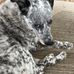 Judy Bartels - Facebook
