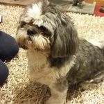 jbaughan - @judybaughan - Instagram