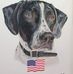 Judy Bayless - Facebook