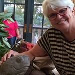 Judy Bays - @jbburnet - Instagram